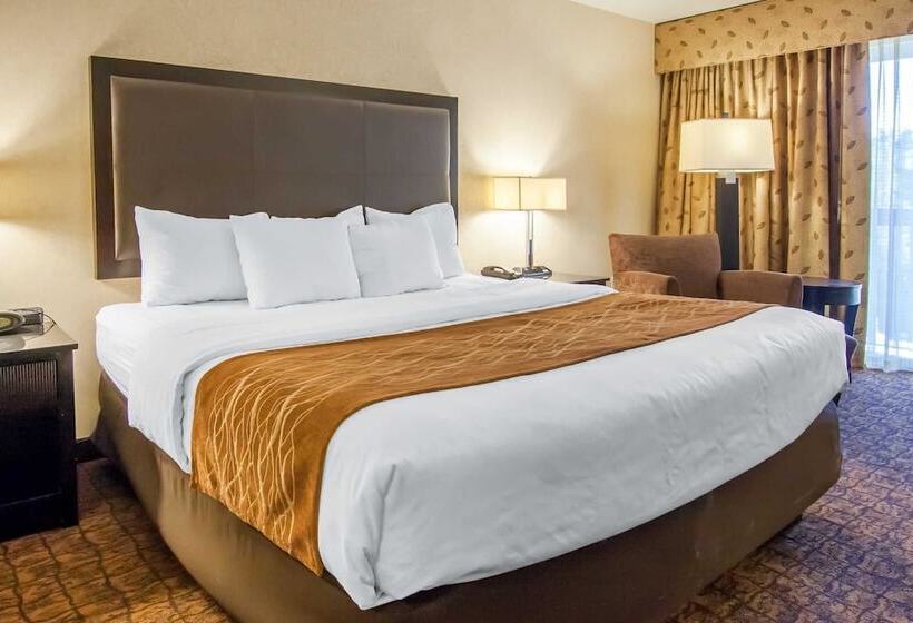 Номер Стандарт, Comfort Inn & Suites