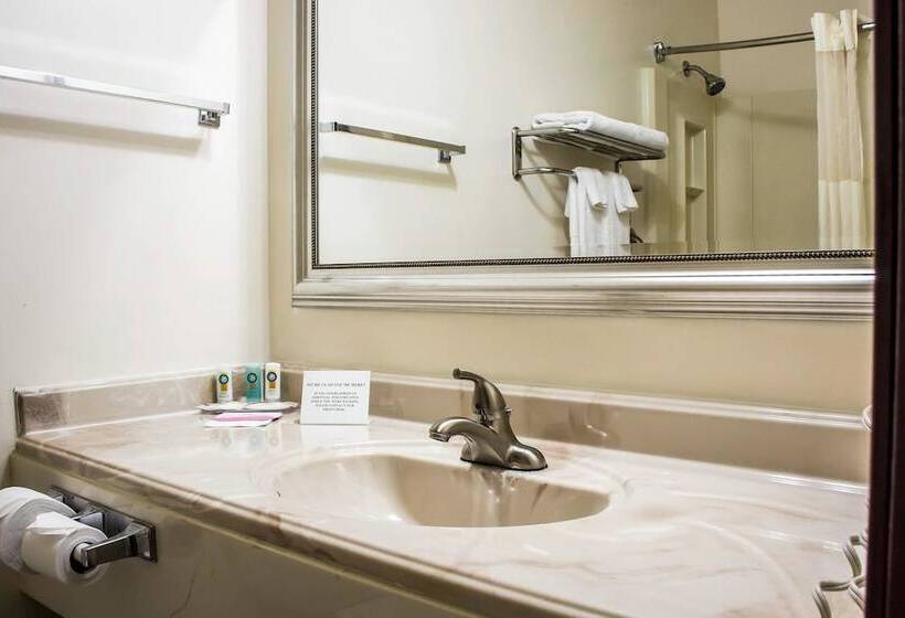 Номер Стандарт Двуспальная Кровать, Clarion Pointe Winslow I 40