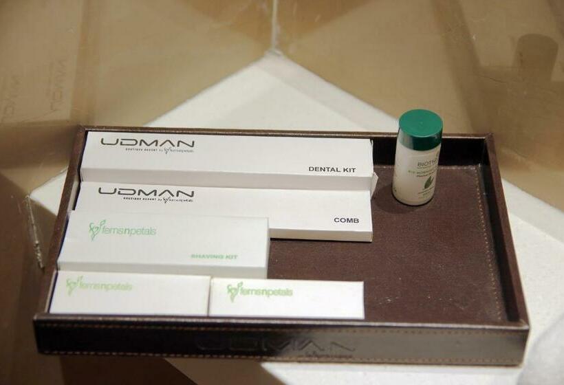 Номер Стандарт, Udman Hotel Greater Noida