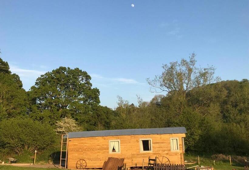 Номер Economy, Shepherds Huts Ham Hill, 2 Double Beds, Bathroom, Lounge, Diner, Kitchen, Love Dogs & Cats Looking O