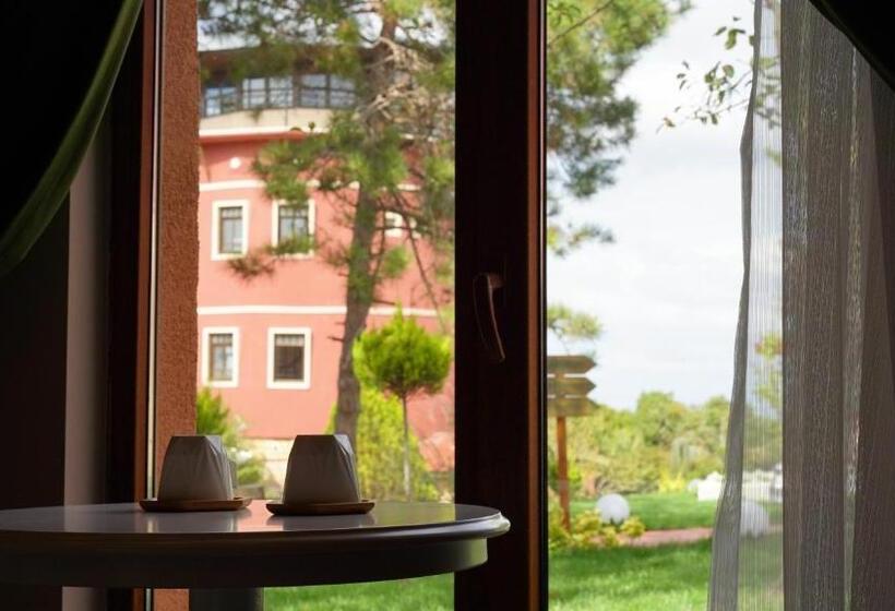 اتاق استاندارد با چشم‌انداز باغ, Kule Hotel Airport Istanbul