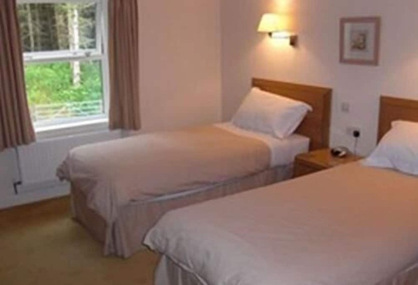 Номер Executive, Llwyn Onn Guest House