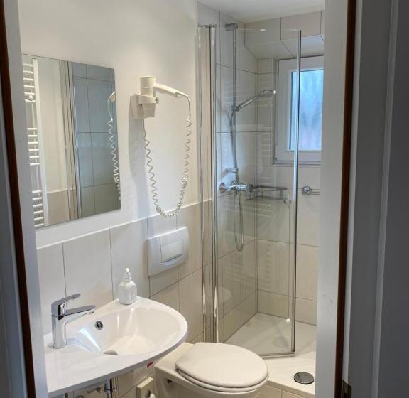 Номер Стандарт, Wellnesshotel Rothfuß Mit Spa Und 2 Schwimmbädern