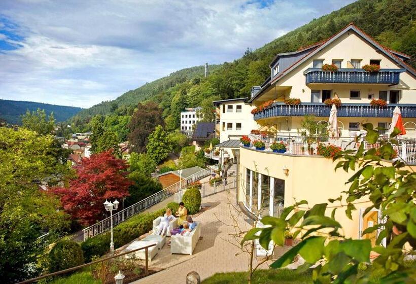 Полулюкс Вид на Горы, Wellnesshotel Rothfuß Mit Spa Und 2 Schwimmbädern