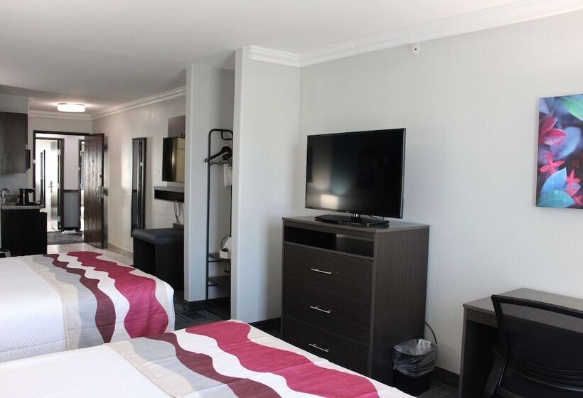 Suite, Best Western Medical Center North Inn & Suites Near Six Flags