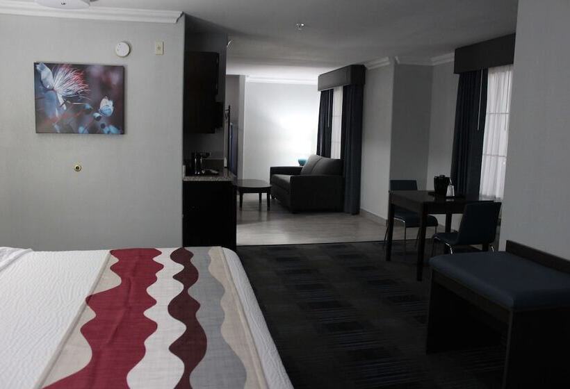 Suite, Best Western Medical Center North Inn & Suites Near Six Flags
