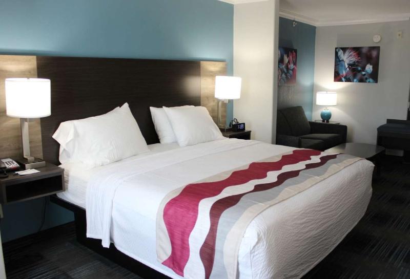 Chambre Standard Adaptée aux Personnes à Mobilité Réduite, Best Western Medical Center North Inn & Suites Near Six Flags