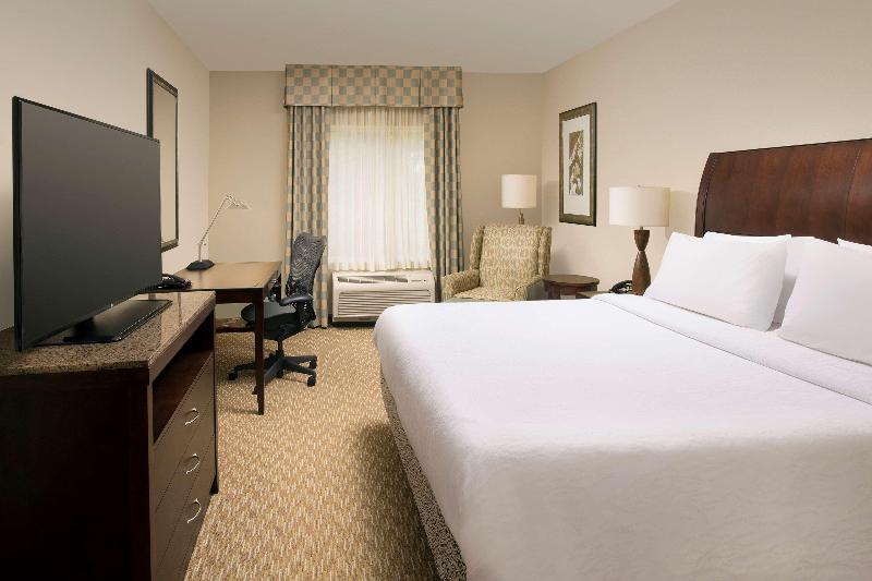 스탠다드 룸 킹사이즈 침대, Hilton Garden Inn Huntsville South/redstone Arsenal