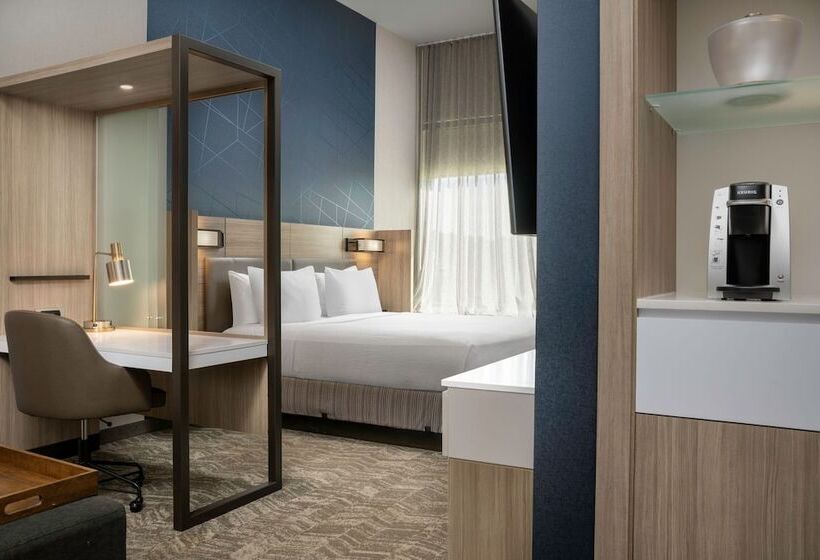 Люкс, Springhill Suites By Marriott Birmingham Gardendale