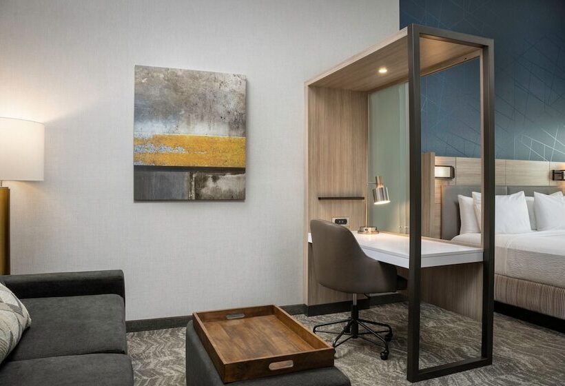 Люкс, Springhill Suites By Marriott Birmingham Gardendale