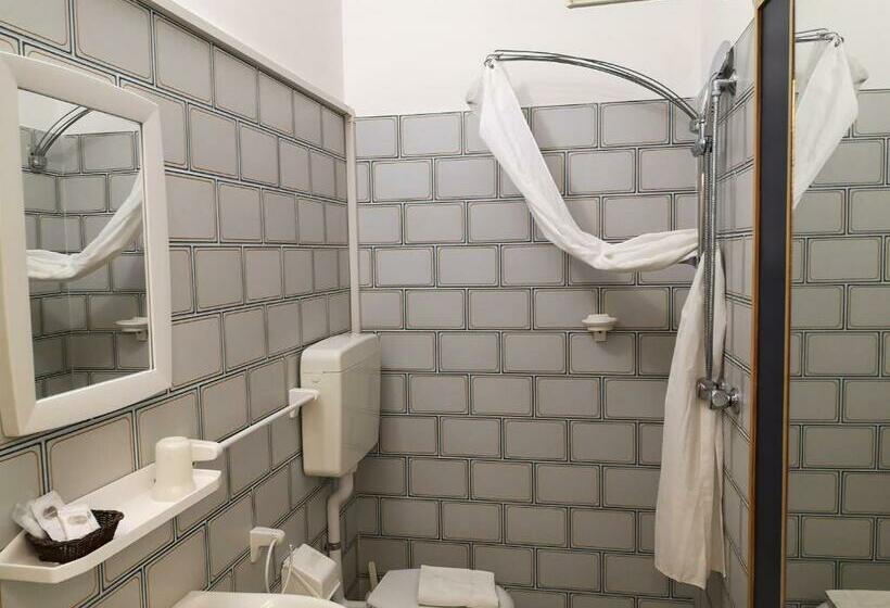 غرفة قياسية, Nives
