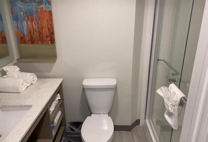 Стандартный Номер Кровать Кинг, Mainstay Suites Horsham  Philadelphia