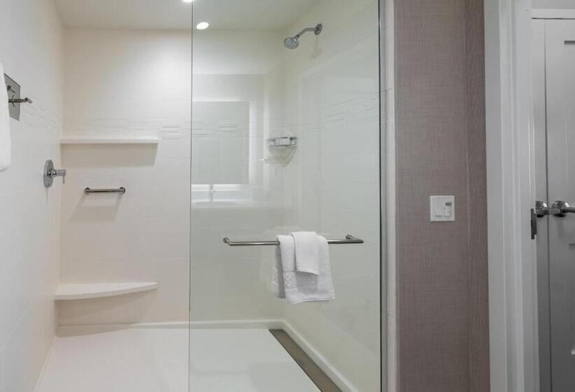 Люкс, Residence Inn By Marriott Lancaster Palmdale