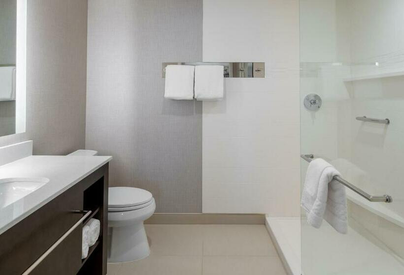 Люкс, Residence Inn By Marriott Lancaster Palmdale