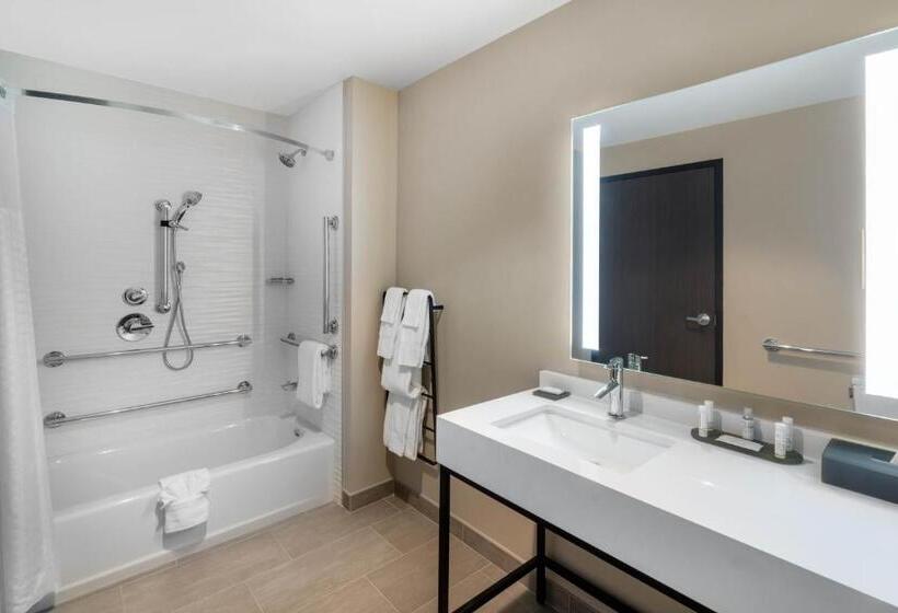اتاق استاندارد با تخت بزرگ برای معلولان, La Quinta Inn & Suites By Wyndham Nashville Downtown Stadium