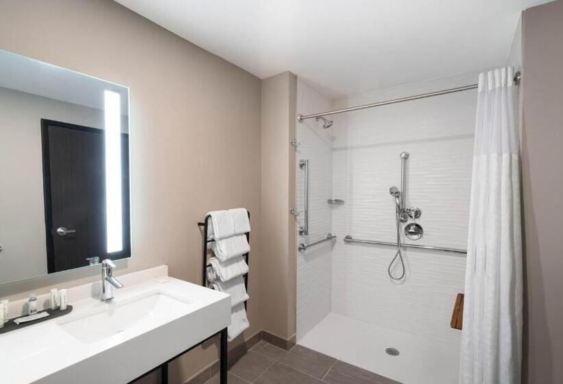 اتاق استاندارد برای معلولان, La Quinta Inn & Suites By Wyndham Nashville Downtown Stadium