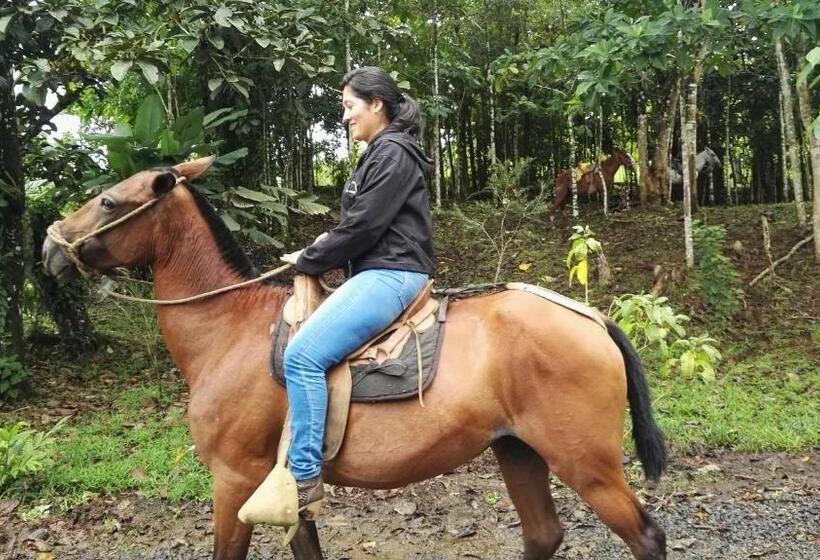 Четырехместный Номер Стандарт, Rio Celeste Finca L´ Etoile Celeste