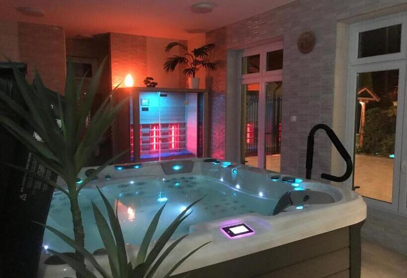 Апартаменты 1 Спальня, Tó  Party Panoráma Panzió & Wellness