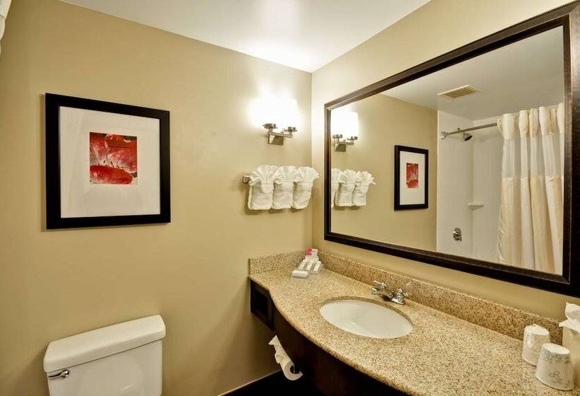 Номер Стандарт, Hilton Garden Inn Tampa North Busch Gardens