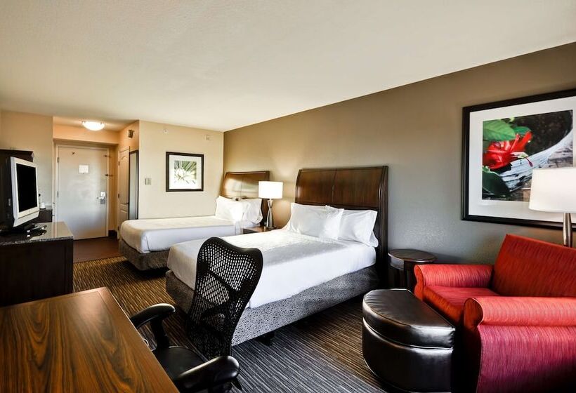 Номер Стандарт, Hilton Garden Inn Tampa North Busch Gardens