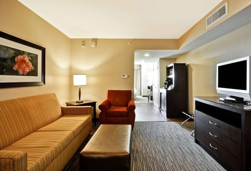 Номер Стандарт, Hilton Garden Inn Tampa North Busch Gardens