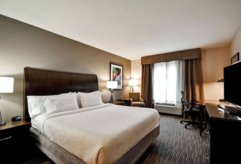 Полулюкс, Hilton Garden Inn Tampa North Busch Gardens