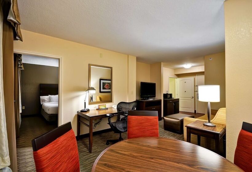 Полулюкс, Hilton Garden Inn Tampa North Busch Gardens