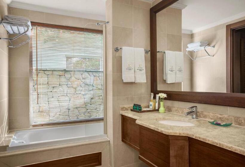 Вилла Deluxe 1 Спальня, Ic Hotels Residence