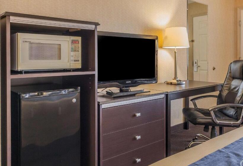 스탠다드 룸 킹사이즈 침대, Comfort Inn On The Bay