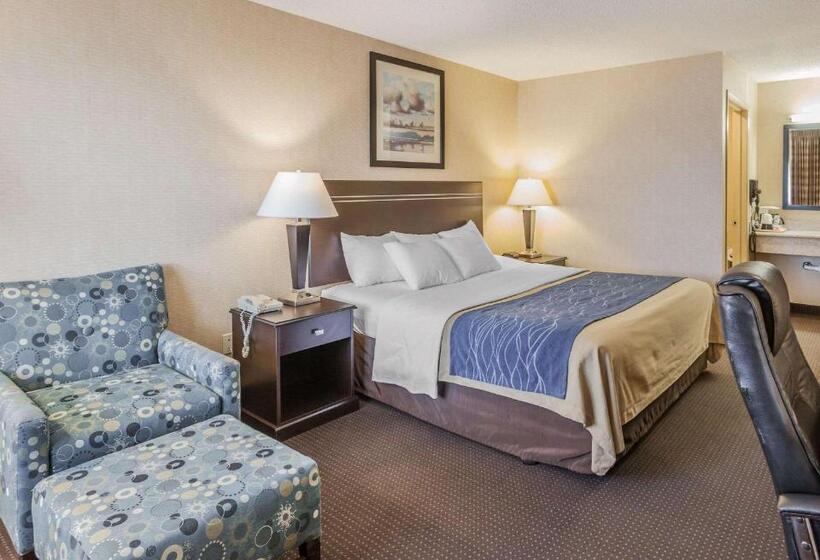 장애인을 위한 스탠다드 룸, Comfort Inn On The Bay