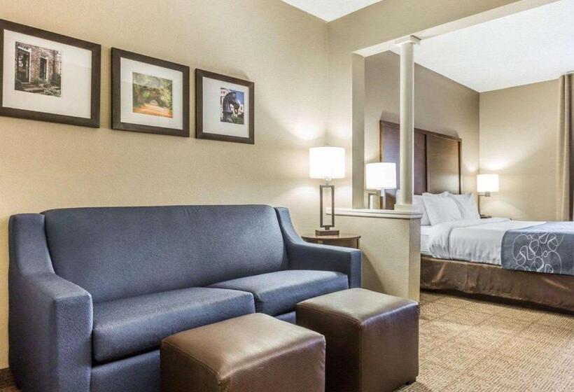 Suite King Size Bed, Comfort Suites At Isle Of Palms Connector
