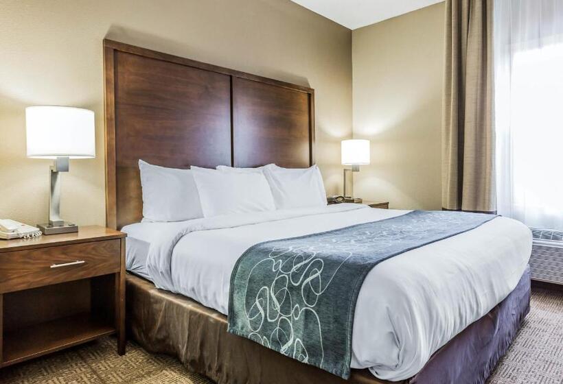 Suite King Size Bed, Comfort Suites At Isle Of Palms Connector
