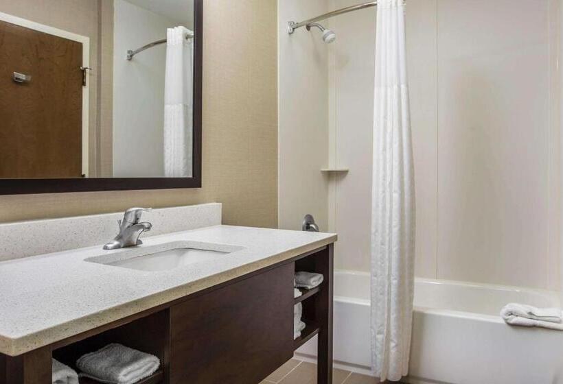 Mozgáskorlátozott Suite, Comfort Suites At Isle Of Palms Connector