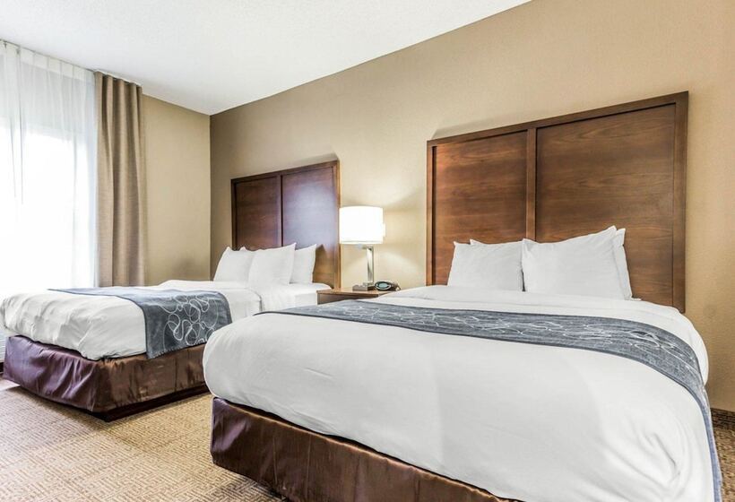 Lakosztály, Comfort Suites At Isle Of Palms Connector