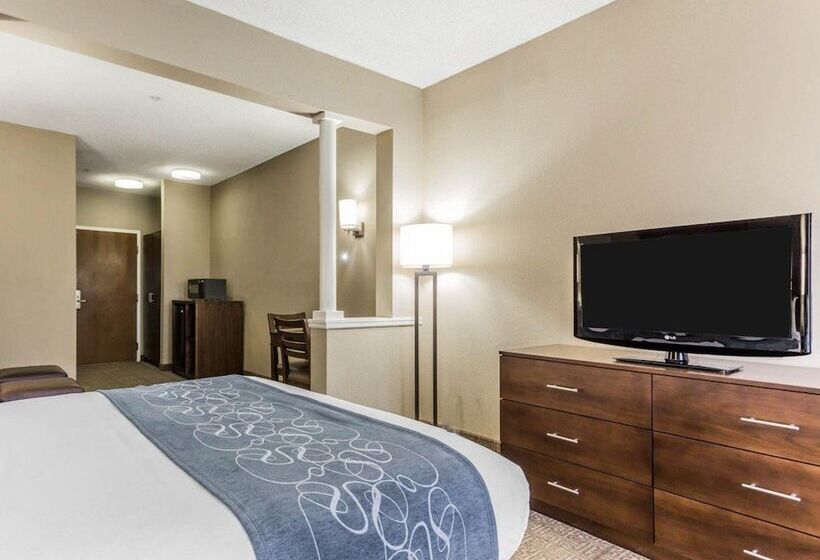 Lakosztály, Comfort Suites At Isle Of Palms Connector