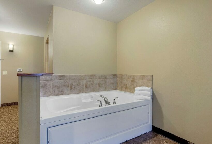 Люкс, Comfort Suites Johnson Creek Conference Center