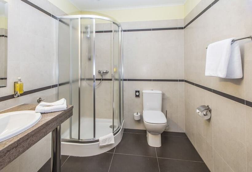 Номер Deluxe, Business Hotel Vega Wrocław