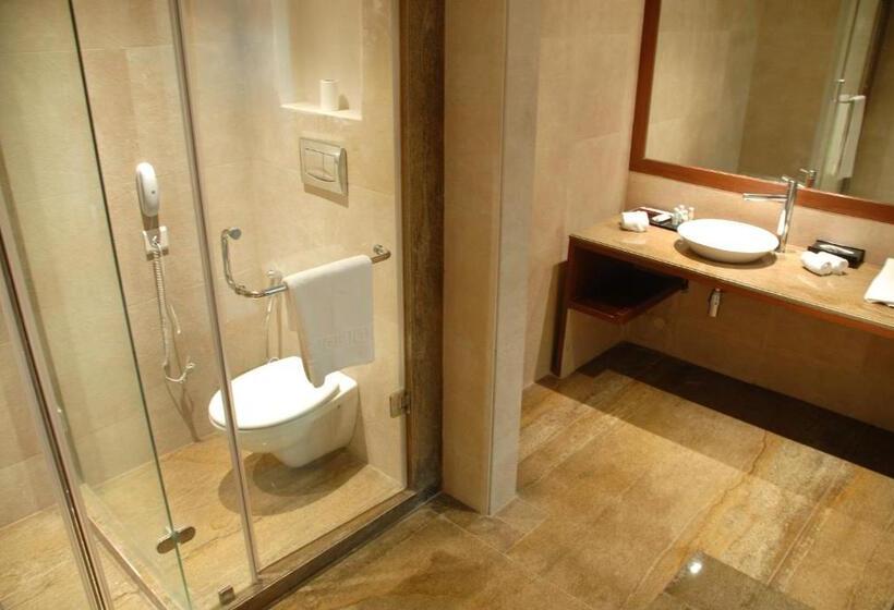 اتاق استاندارد, Cambay Grand  Kukas