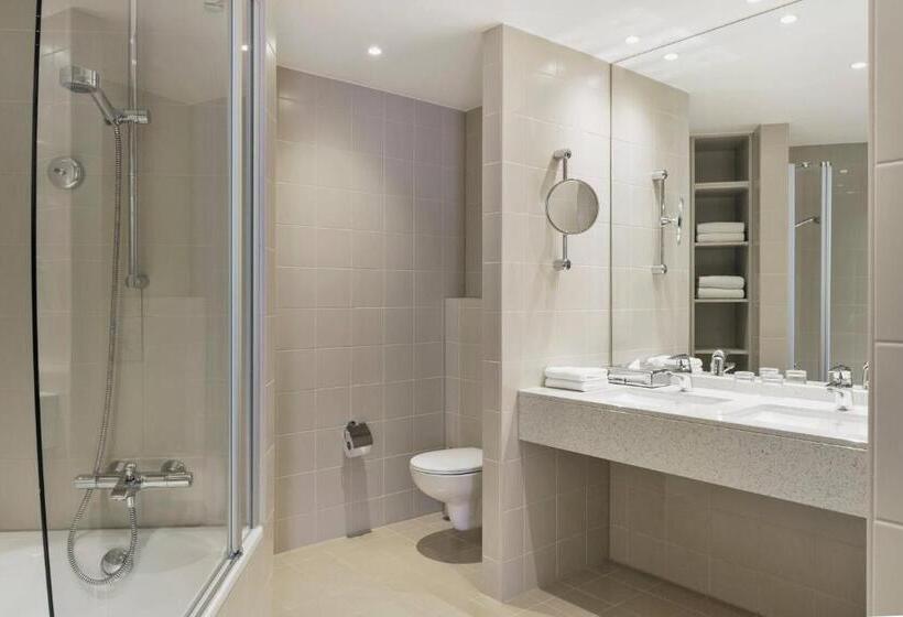 Полулюкс, Courtyard By Marriott Basel