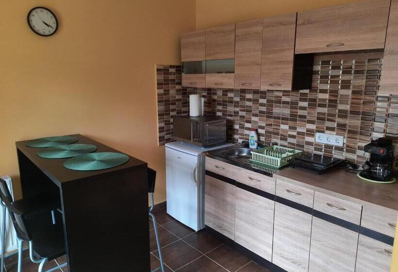Апартаменты 1 Спальня с Террасой, Fónagy Apartmanok