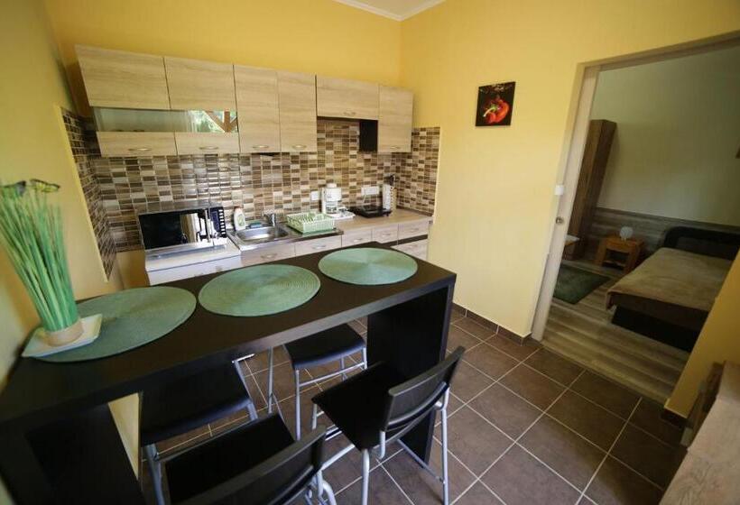 Апартаменты 1 Спальня с Террасой, Fónagy Apartmanok