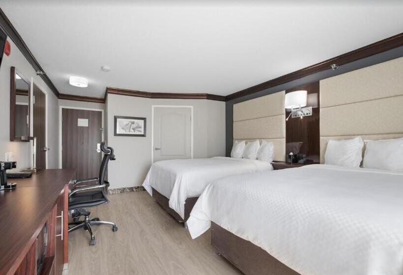 Номер Стандарт, The Leo Collection Detroit, Ascend Hotel Collection