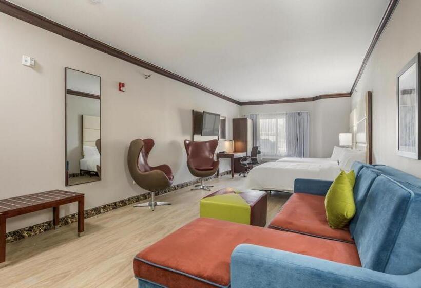 Номер Стандарт Адаптированный для Инвалидов, The Leo Collection Detroit, Ascend Hotel Collection