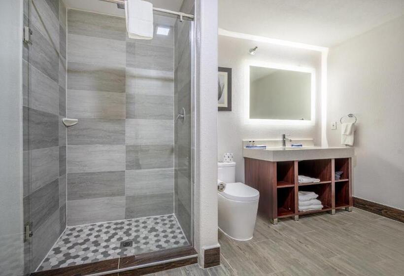 Люкс Superior, The Leo Collection Detroit, Ascend Hotel Collection
