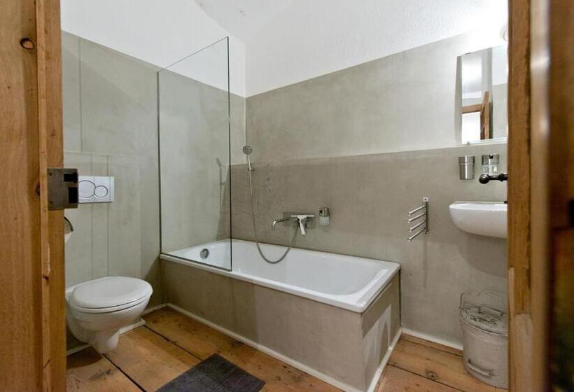 إستوديو قياسى مزودة بتراس, Das Hornsteiner