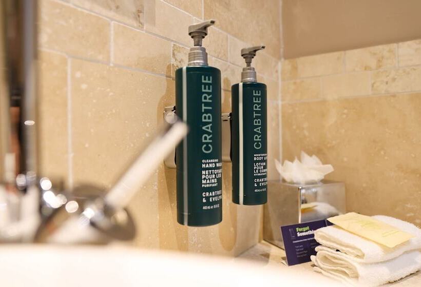 Номер Стандартный с Видом, Doubletree By Hilton  Milton Keynes