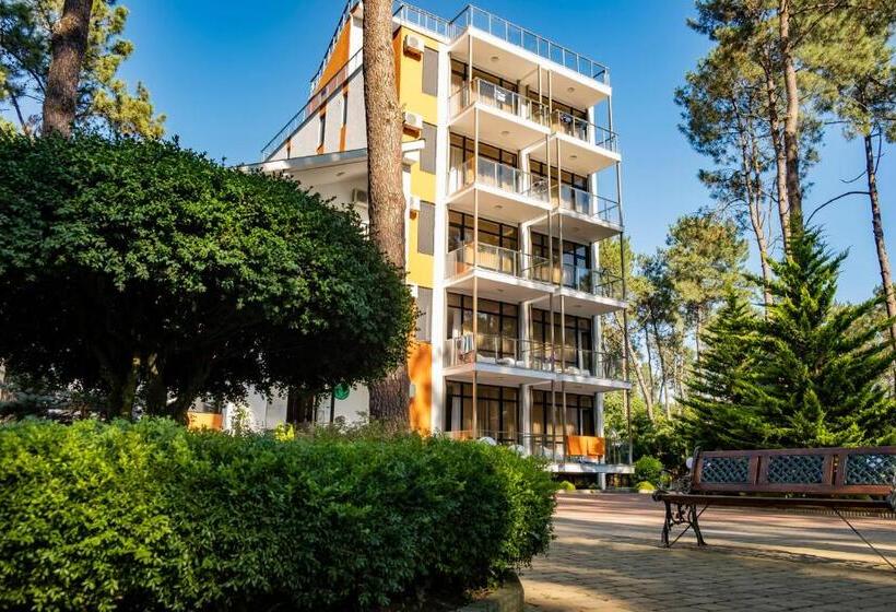 اتاق لوکس, Buxus Hotel Shekvetili