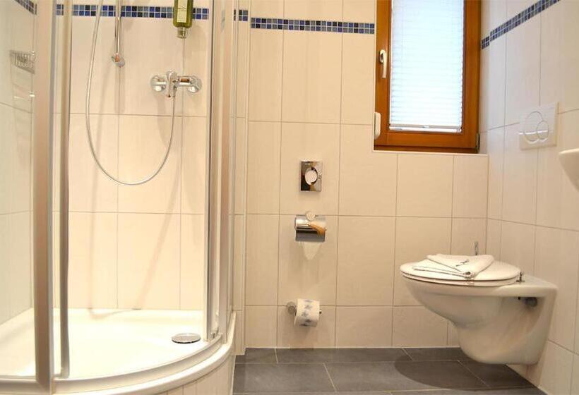 Номер Стандарт Индивидуальный, Aqualon Hotel Schweizerblick   Therme, Sauna & Wellness