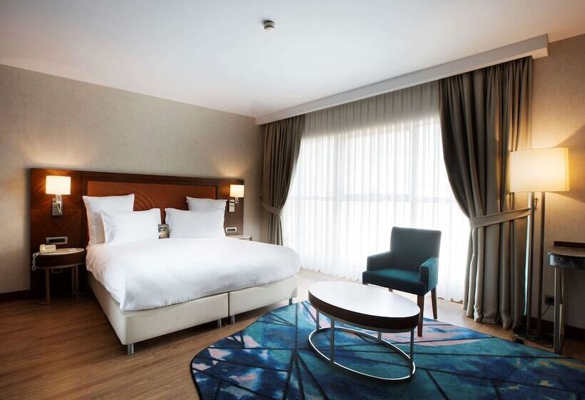 シティビューのデラックスルーム, Mercure Istanbul Bakirkoy