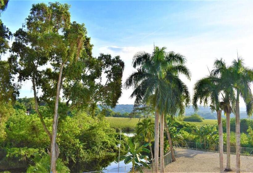 Номер Стандарт Индивидуальный, Tropical Casa Laguna